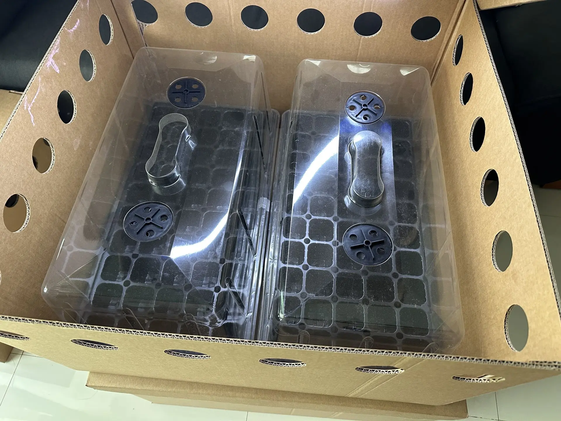 CloneShippers.com with humidity grow dome