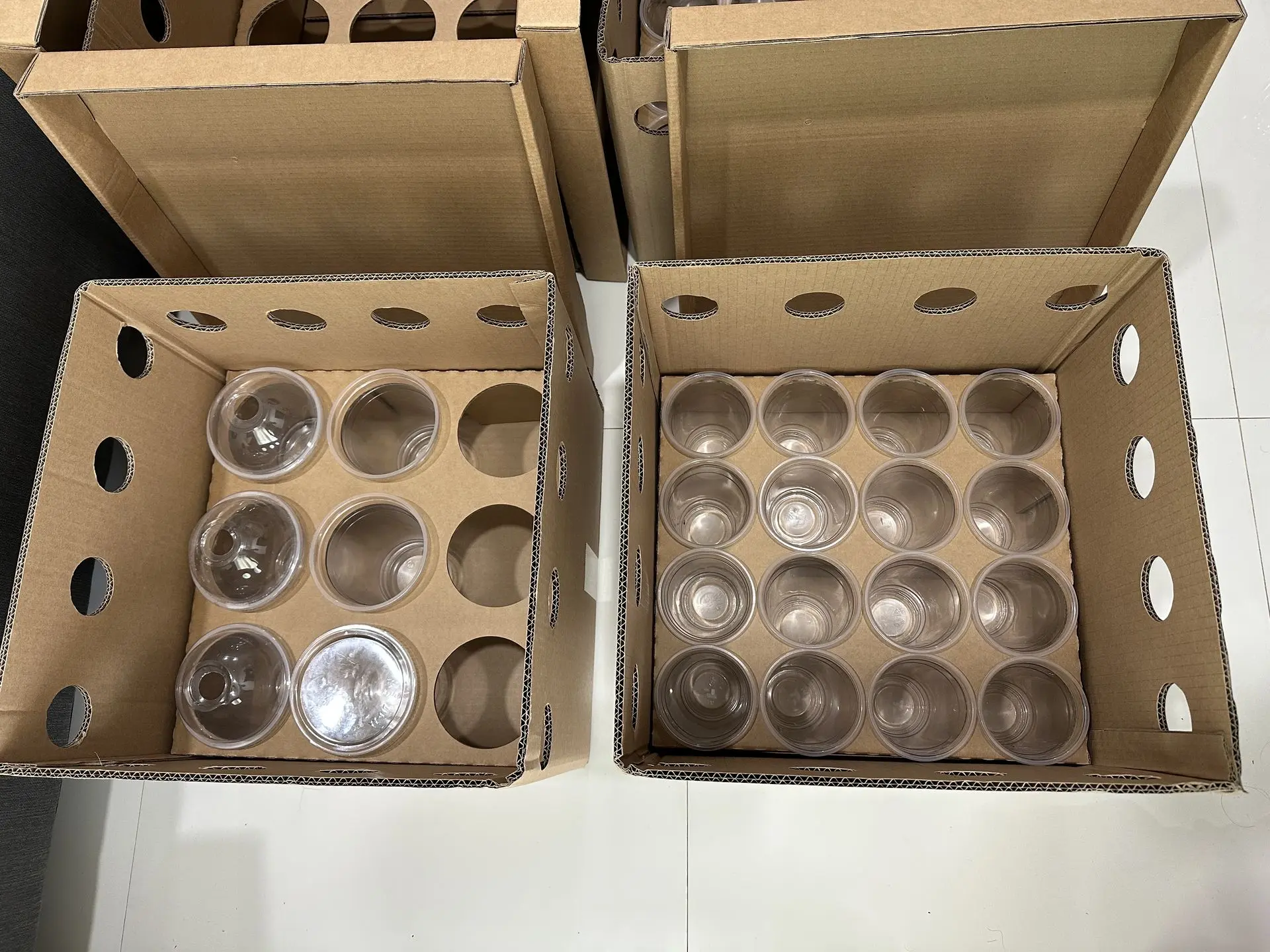 CloneShippers.com box with 0,5L seedling cups