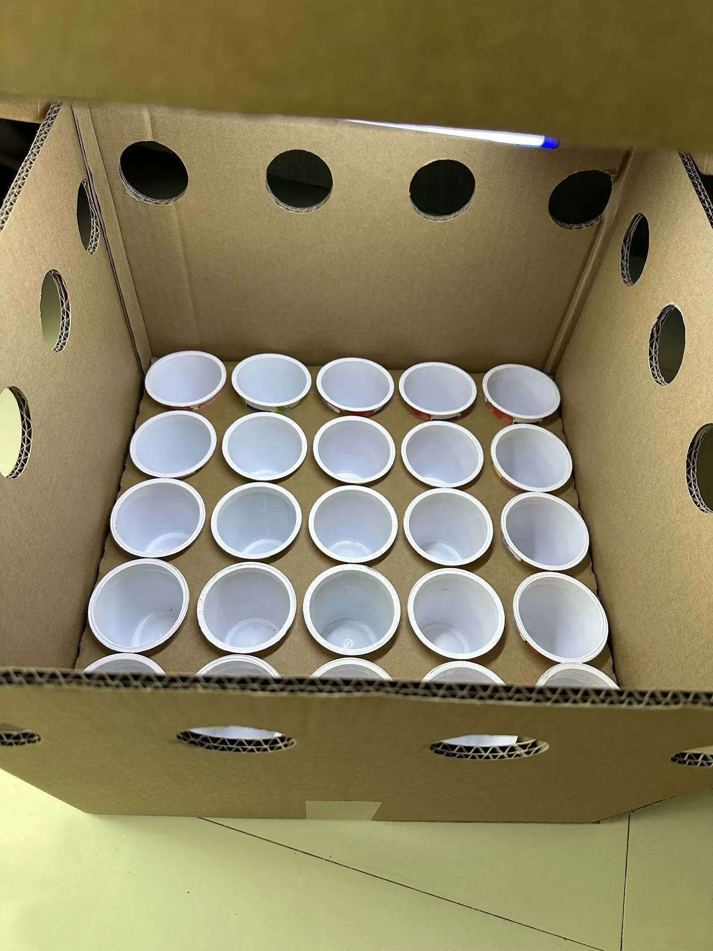 CloneShippers.com XL Box set with yoghurt cups